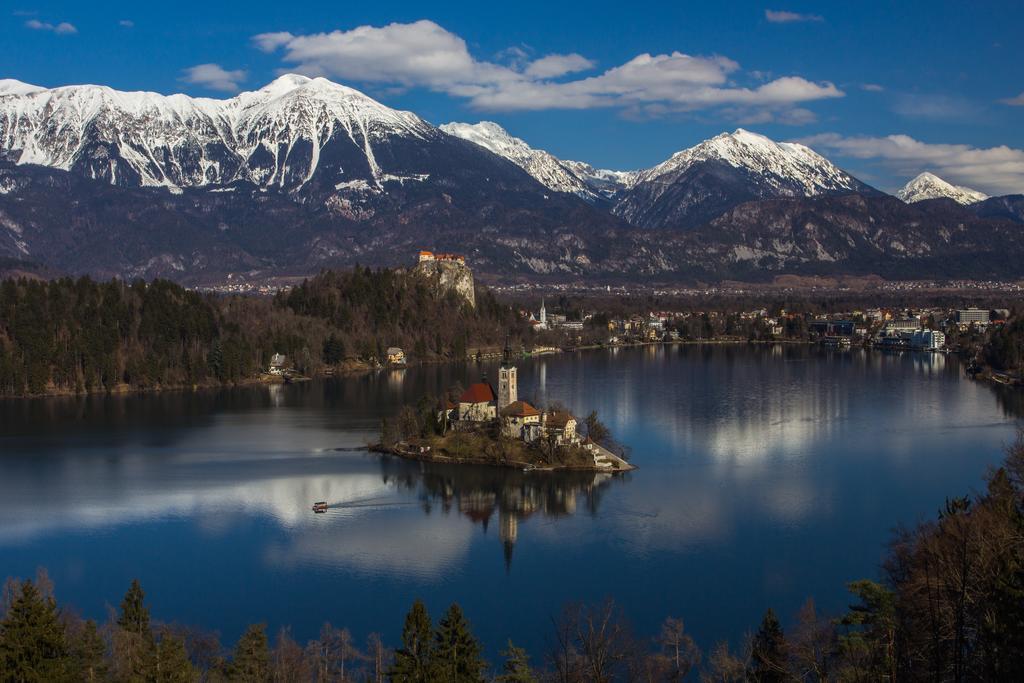 Villa Bio Turisticna Kmetija Frcej-Zupan à Bled Extérieur photo