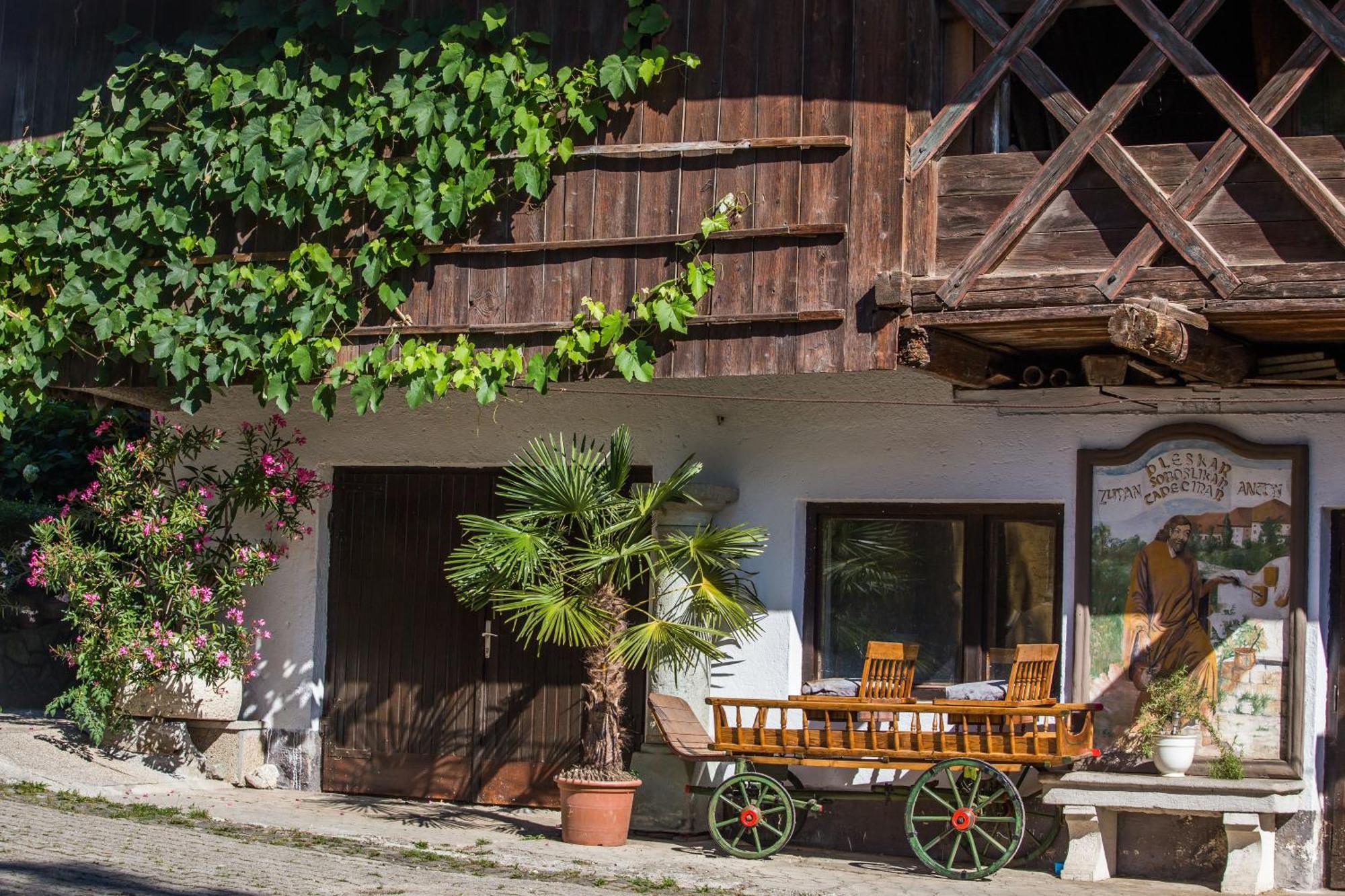 Villa Bio Turisticna Kmetija Frcej-Zupan à Bled Extérieur photo